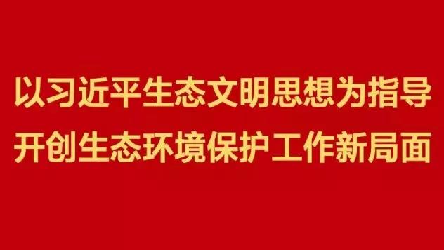 學(xué)習(xí)習(xí)近平思想環(huán)保大會精神